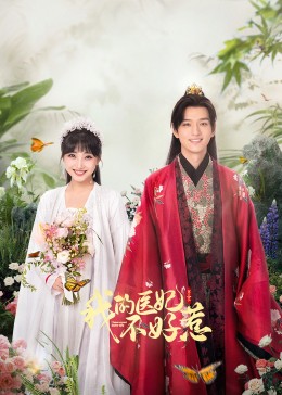 我的醫(yī)妃不好惹3第02集