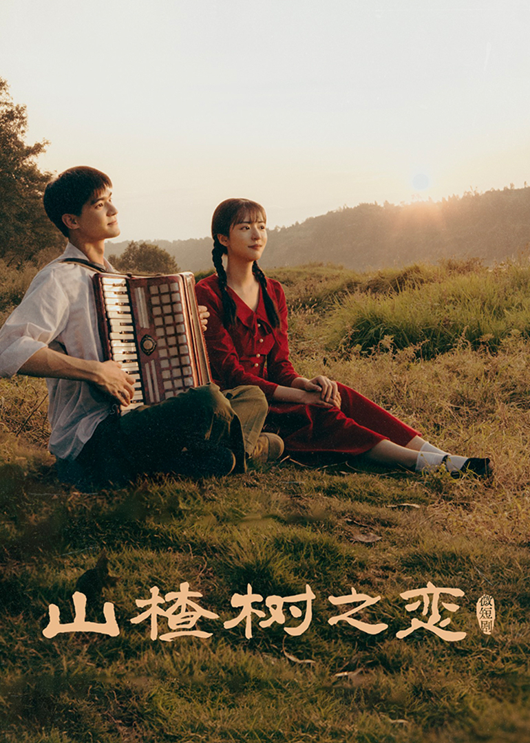 山楂樹(shù)之戀(全集)