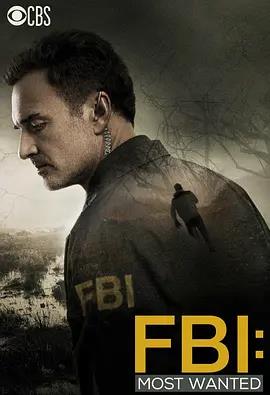 聯(lián)邦調查局：通緝要犯第一季(全集)