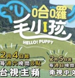 哈啰！毛小孩(全集)