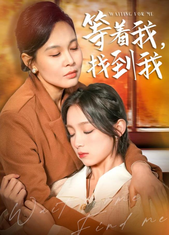 等著我，找到我(全集)
