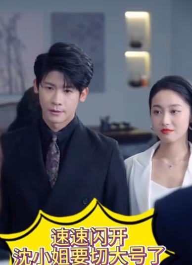 速速閃開(kāi)，沈小姐要切大號(hào)了(全集)