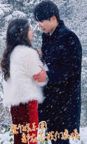 整個(gè)娛樂圈都在等我們離婚(全集)