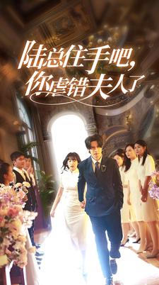 陸總住手吧，你虐錯(cuò)夫人了(全集)