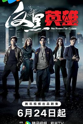 反黑英雄國(guó)語(yǔ)第17集