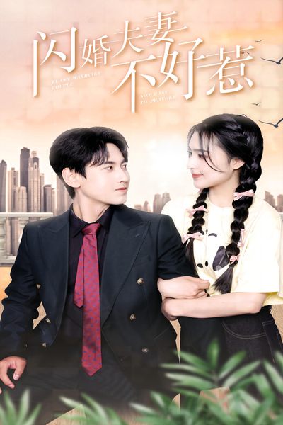 閃婚夫妻不好惹第04集