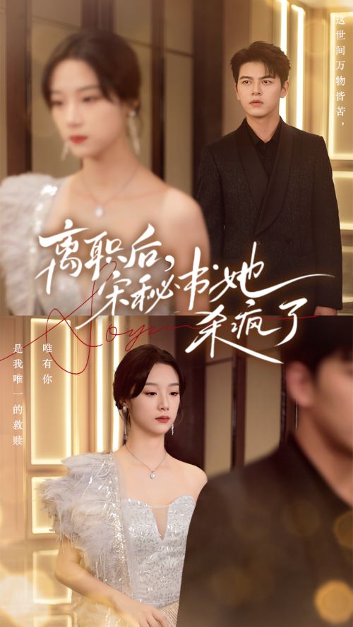 離職后，宋秘書她殺瘋了(全集)