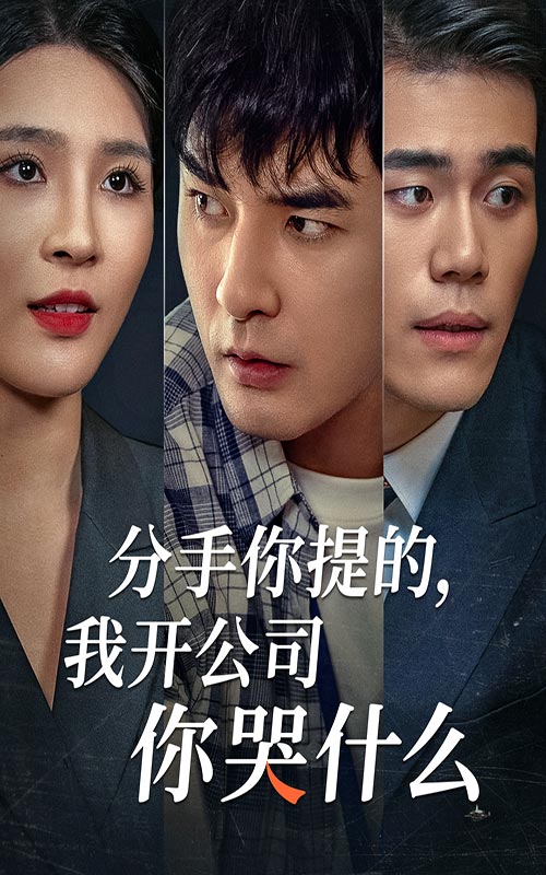 分手你提的，我開公司你哭什么(全集)