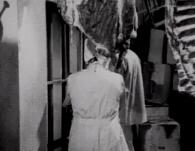 殺神色魔醫(yī)生