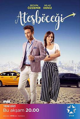 螢火蟲(chóng)2017