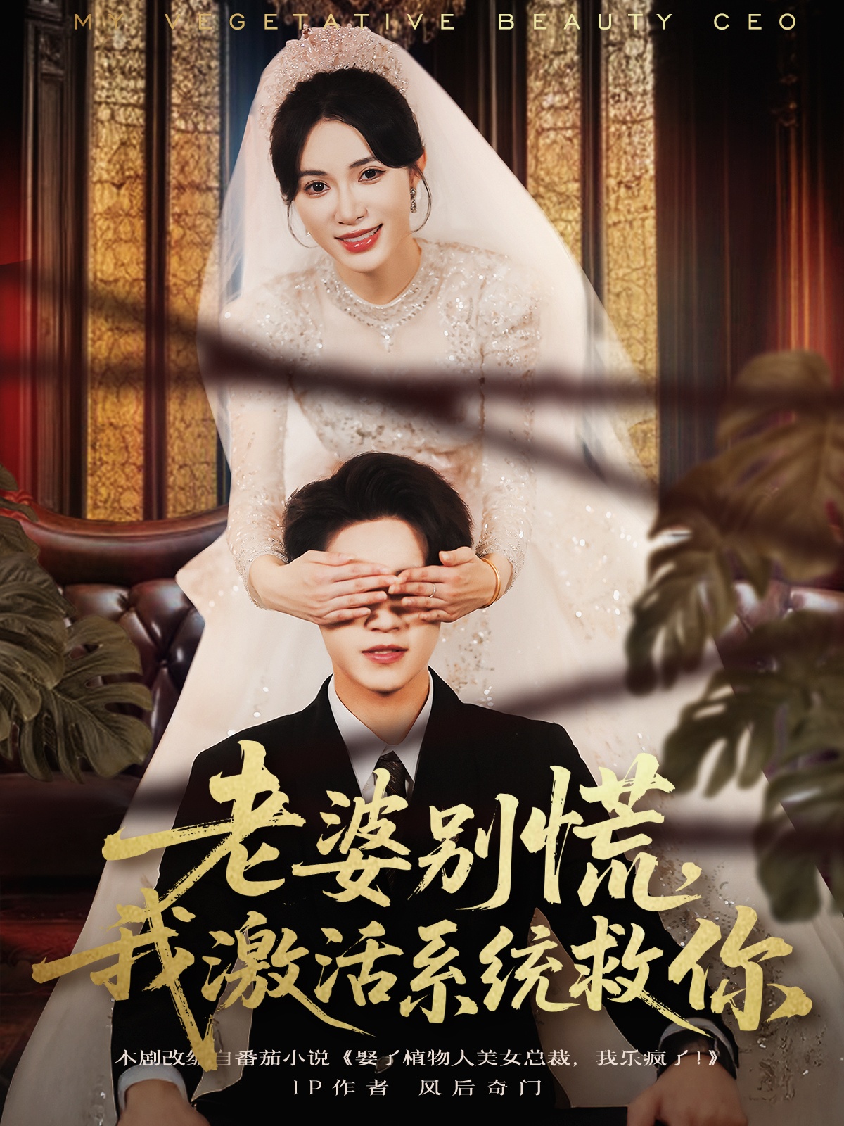 老婆別慌，我激活系統(tǒng)救你(全集)