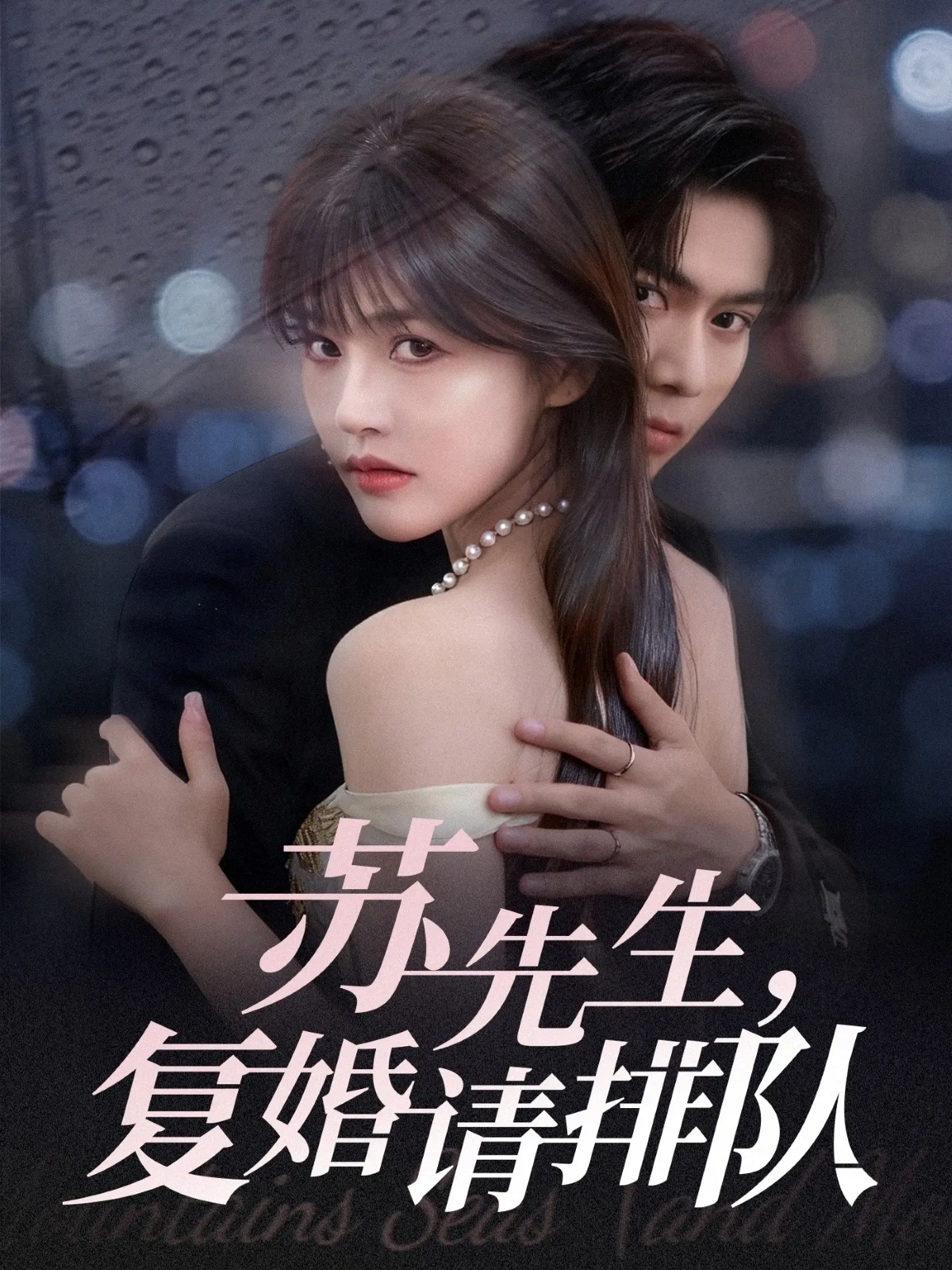 蘇先生，復(fù)婚請排隊(全集)