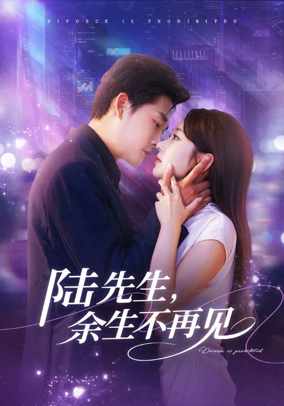 陸先生，余生不再見(全集)