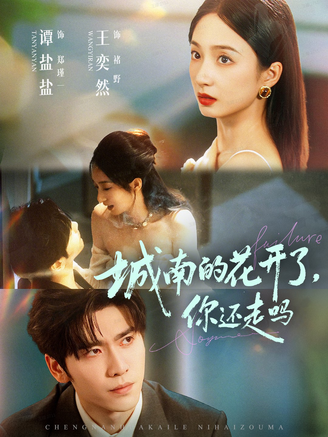 城南的花開了，你還走嗎全集(大結局)
