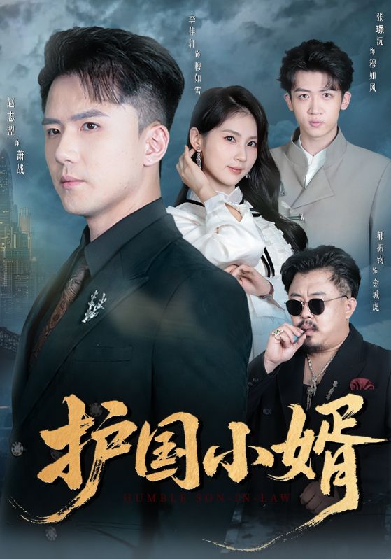 護國小婿(全集)