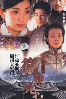 徽娘宛心第28集