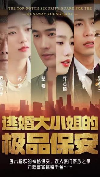 逃婚大小姐的極品保安1-20集