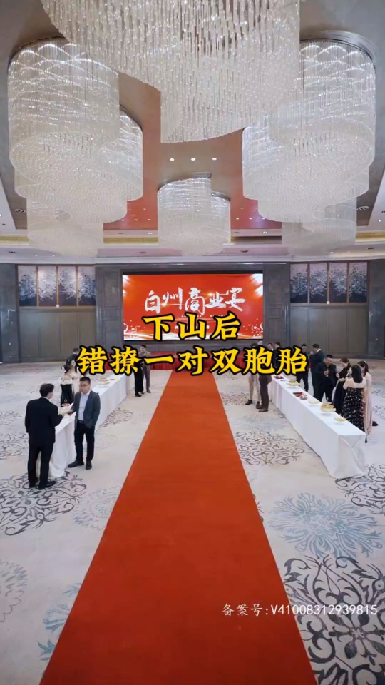 下山后，錯(cuò)撩一對(duì)雙胞胎(全集)