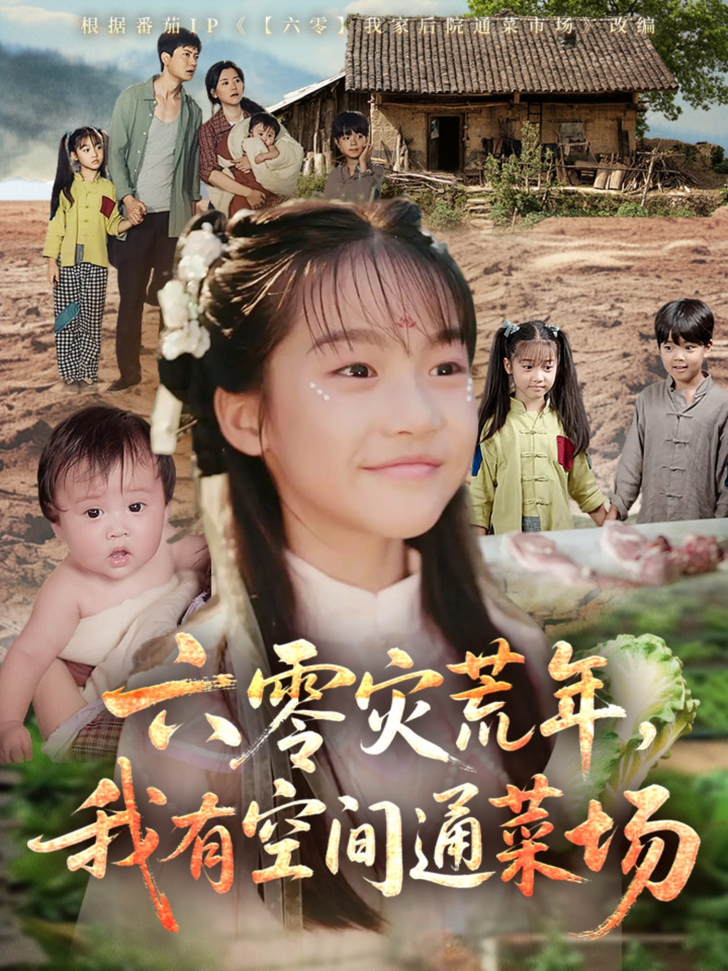 六零災(zāi)荒年,我有空間通菜場(chǎng)(全集)